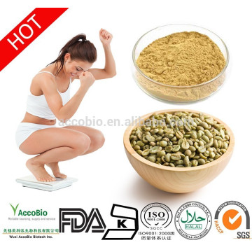 Fat+burner+Green+coffee+bean+extract+60%25+Chlorogenic+acid+powder